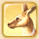 Le kangourou