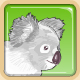 le koala